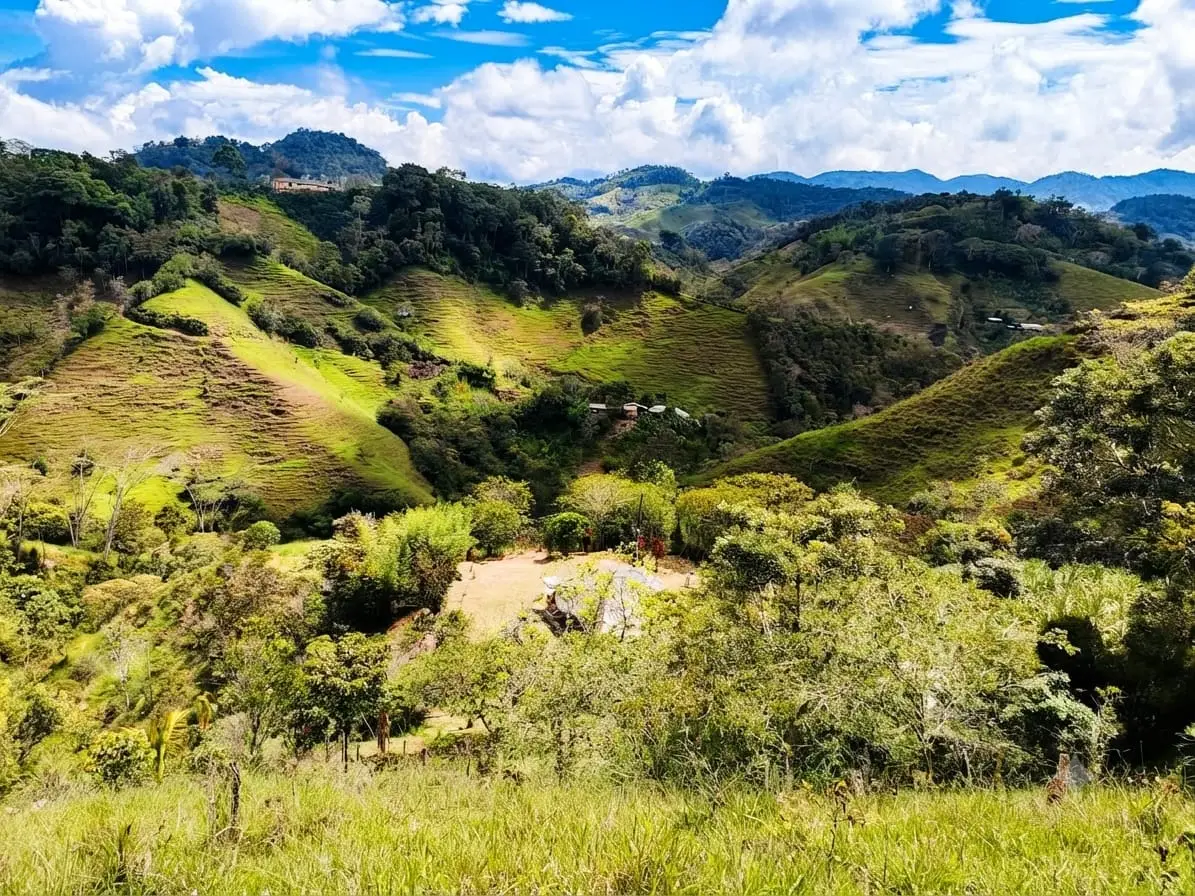 Terreno y vegetación de Villa Valentina en San Roque, Antioquia