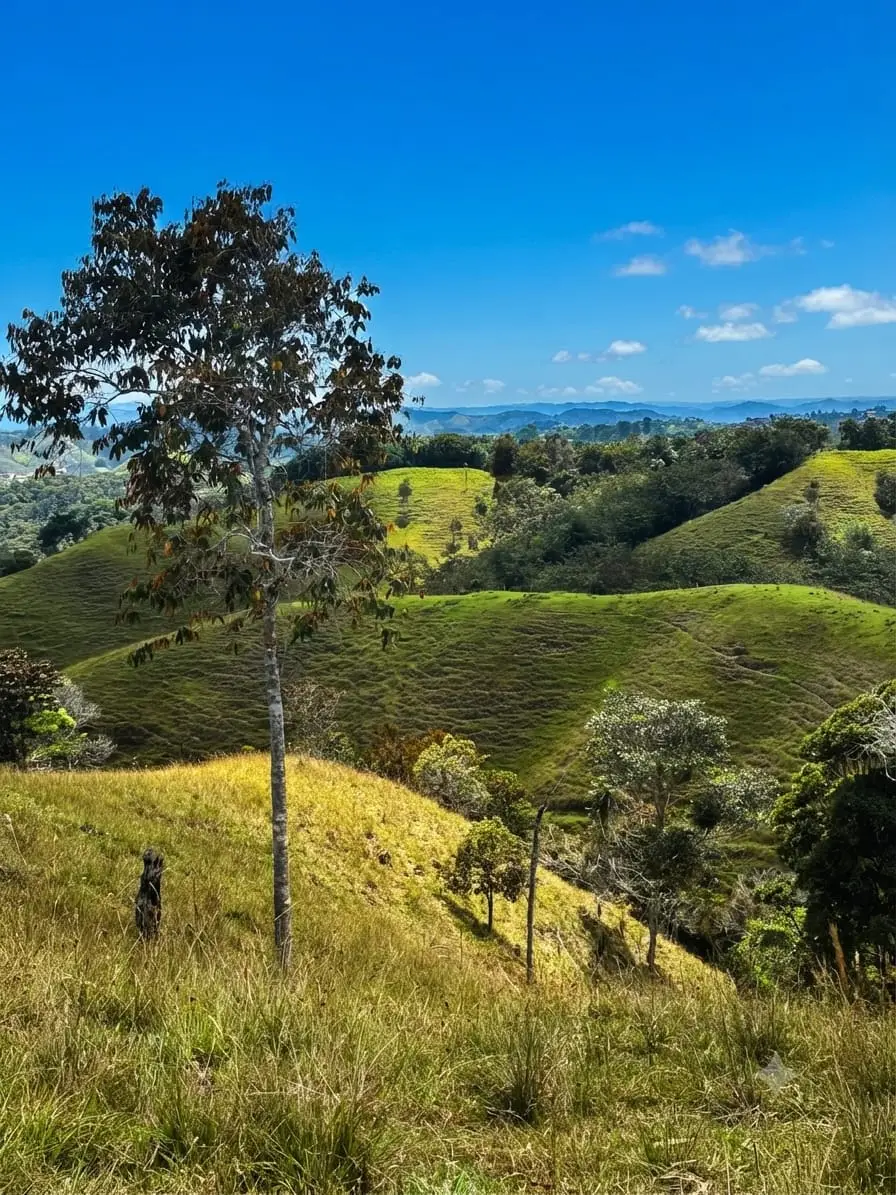 Árboles y paisaje montañoso de Villa Valentina en San Roque, Antioquia